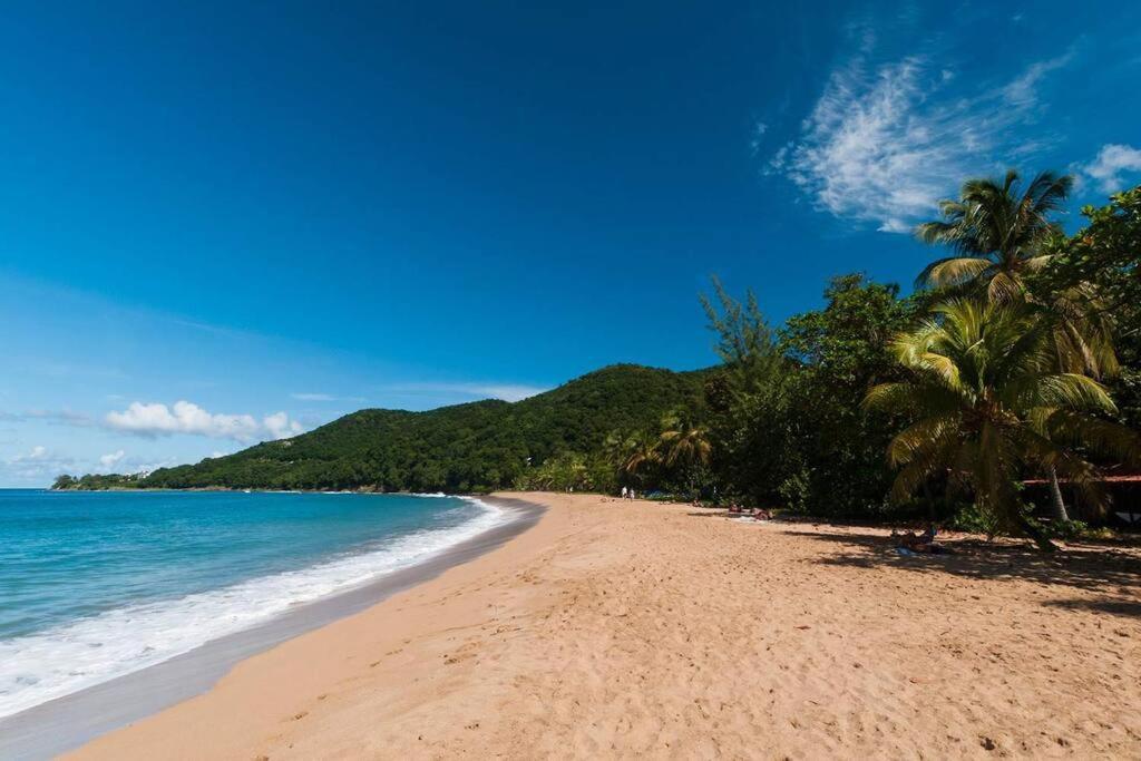 Villa "The Pretty Mermaid", Pool And Stunning Views 5 Min From Beach デエエ エクステリア 写真